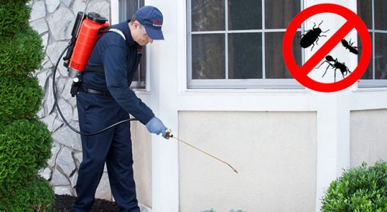 Keşan Hamam Böceği İlaçlama böcek ilaçlama ve haşere kontrolü — ilaclama-tr.com